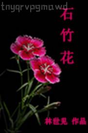 自由奴役捆綁色情片