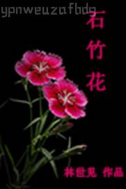 뿴uձL(zhng)uҕl